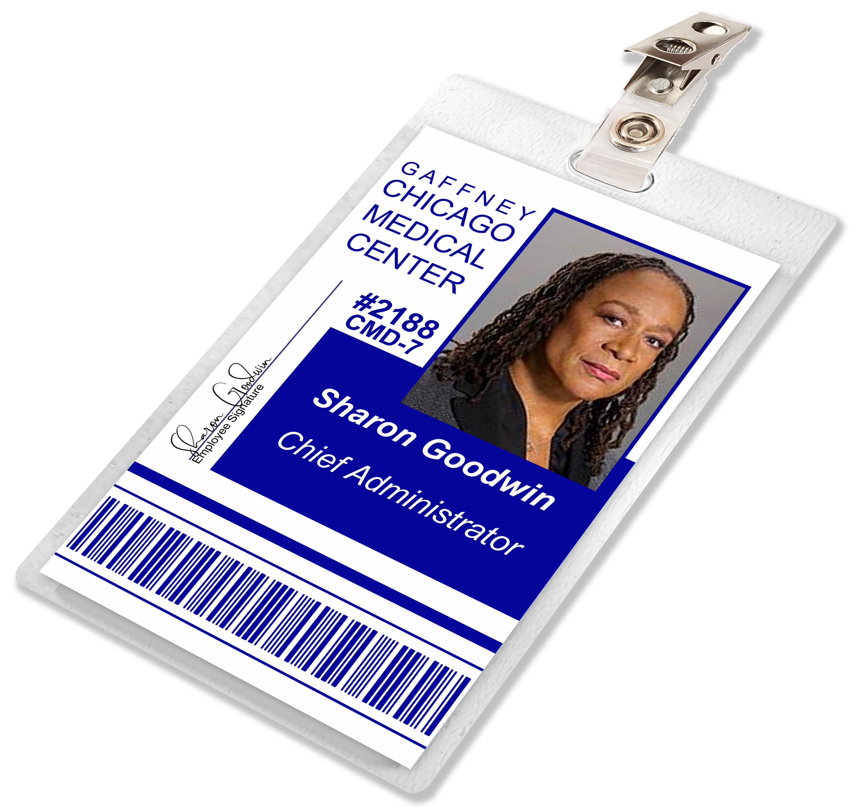 Chicago Id Card Application