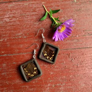 May include: A pair of earrings with a square frame and a butterfly wing inside. The earrings are brown with a silver hook. The butterfly wings are brown with yellow markings.