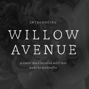 Willow Avenue | Digital Planner Font, Note Taking Font, Digital Notes Font, Handwritten Serif Font, Goodnotes Font, Farmhouse Font
