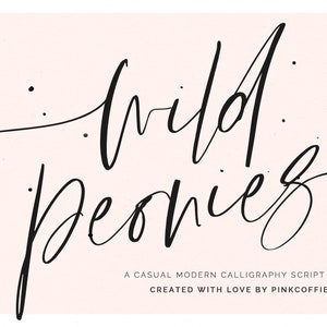 Signature Font, Brush Script Font, Handwritten Script Font, Wedding Font, Calligraphy Font, Modern Font, Logo, Canva Font, Procreate Font