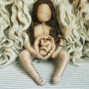 womb pregnancy