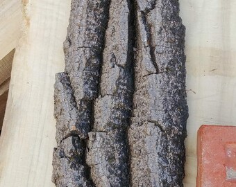 Écorce De Cottonwood Pour Sculpture - Morceaux De Moins De 11 Pouces, Livraison Gratuite Prioritaire