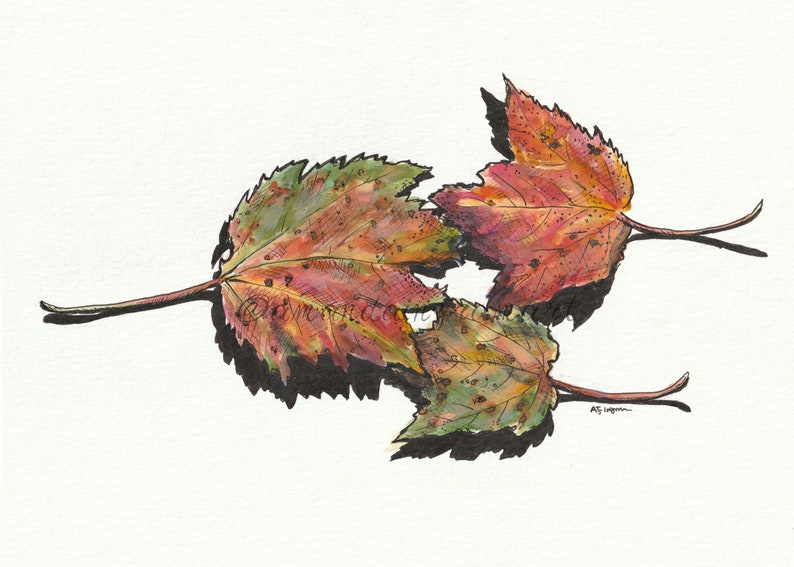 Maple Leaves in the Fall Watercolour Art Print