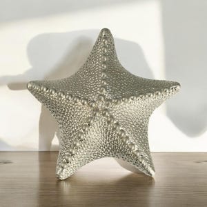 May include: A silver-colored ceramic starfish with a textured surface. The starfish has a five-pointed star shape and is a decorative home accent.