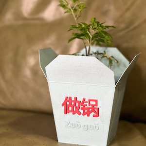 Unique 3D Printed Flower Pot Inspired by Chinese Takeout Box with Drain Holes