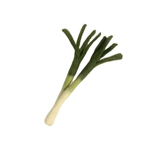 sweet spring onions | organic catnip infused wool cat toy