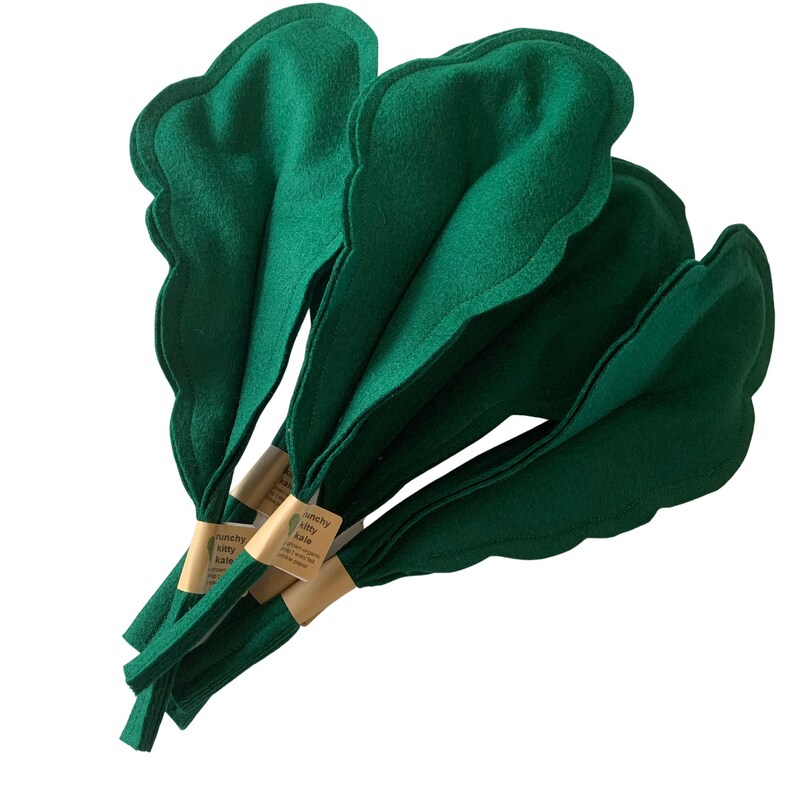kale chew toy