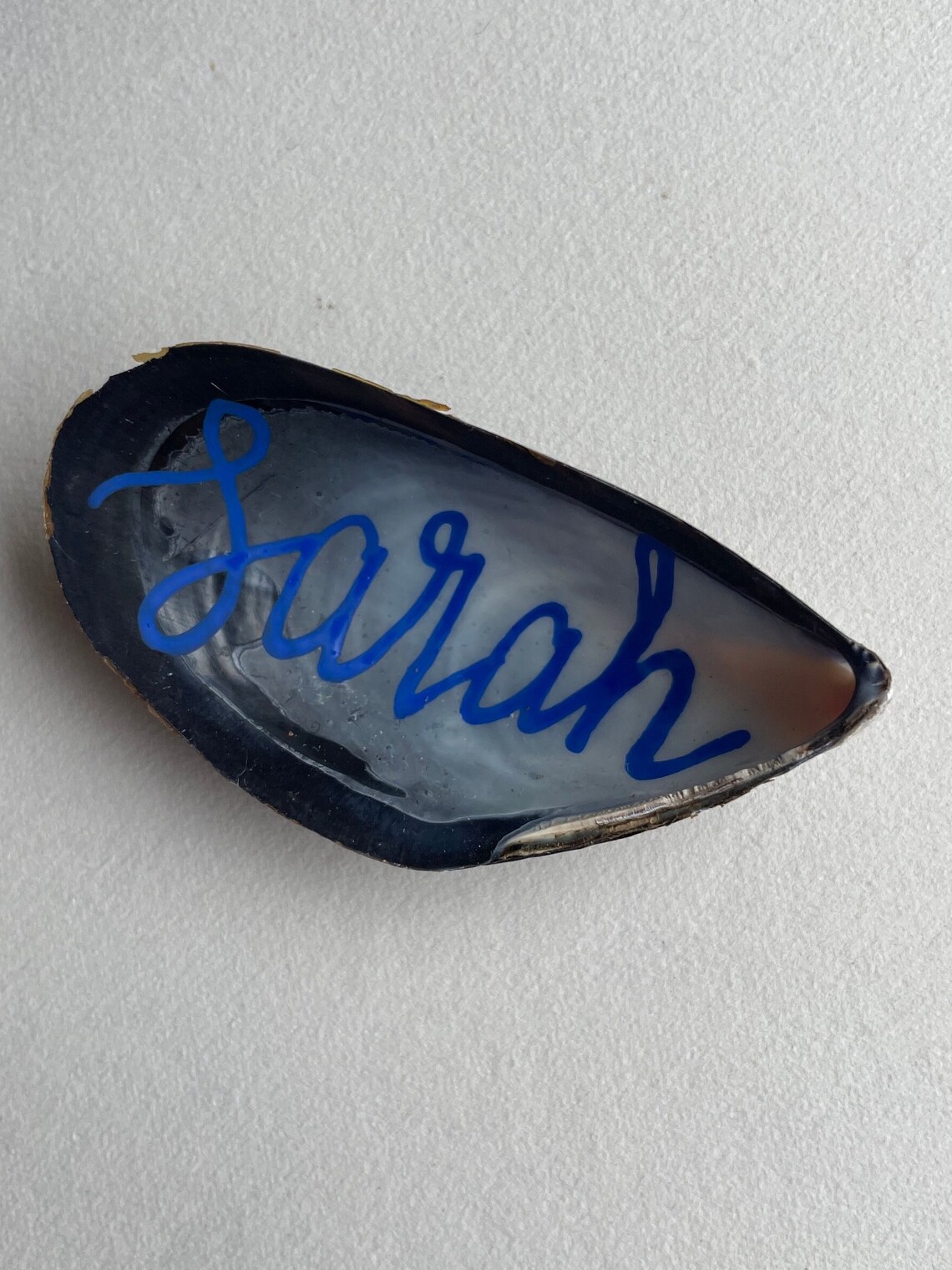 Mussel Shell Place Names in Modern Calligraphy - Etsy