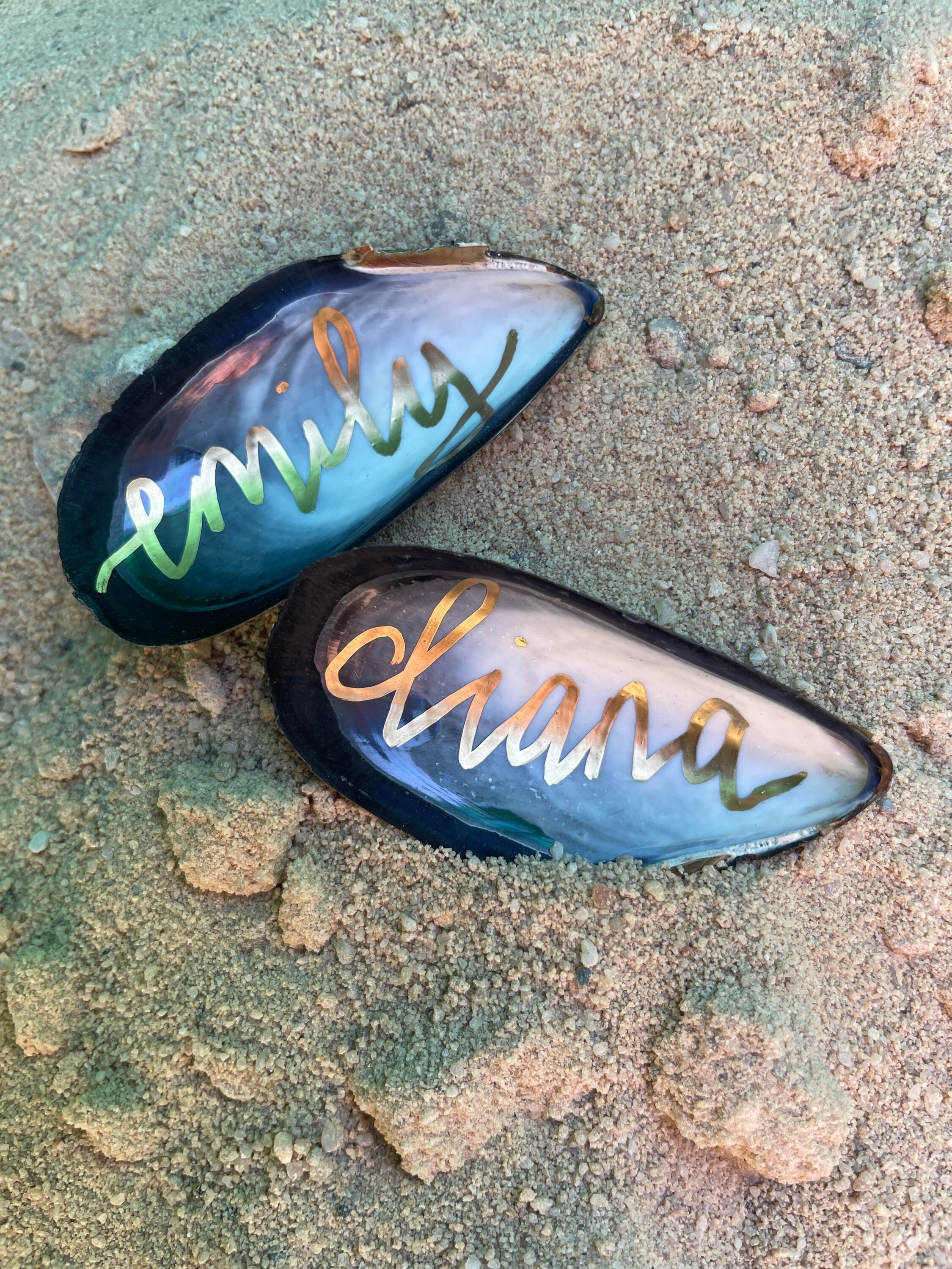 Caligraphic Drawing Shell Mussel Shell Place Names in Modern Calligraphy - Etsy