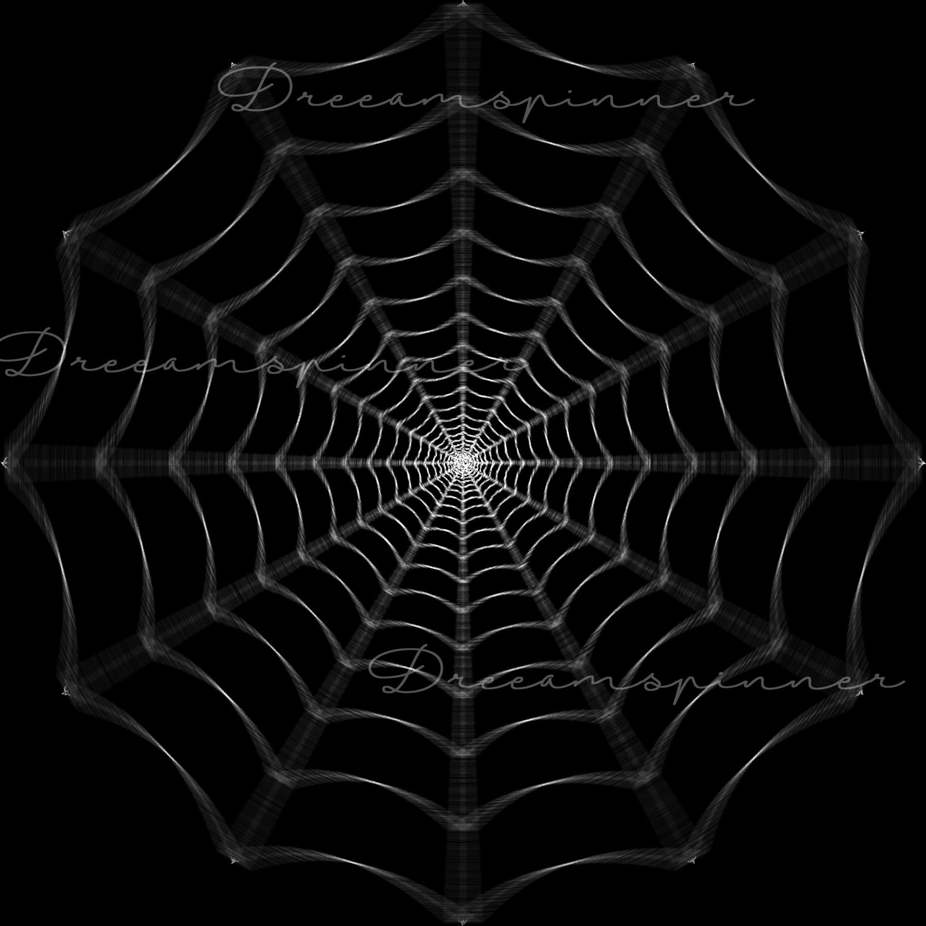 Spider Webs and Cob Webs Digital Overlay 3 Pack | Etsy