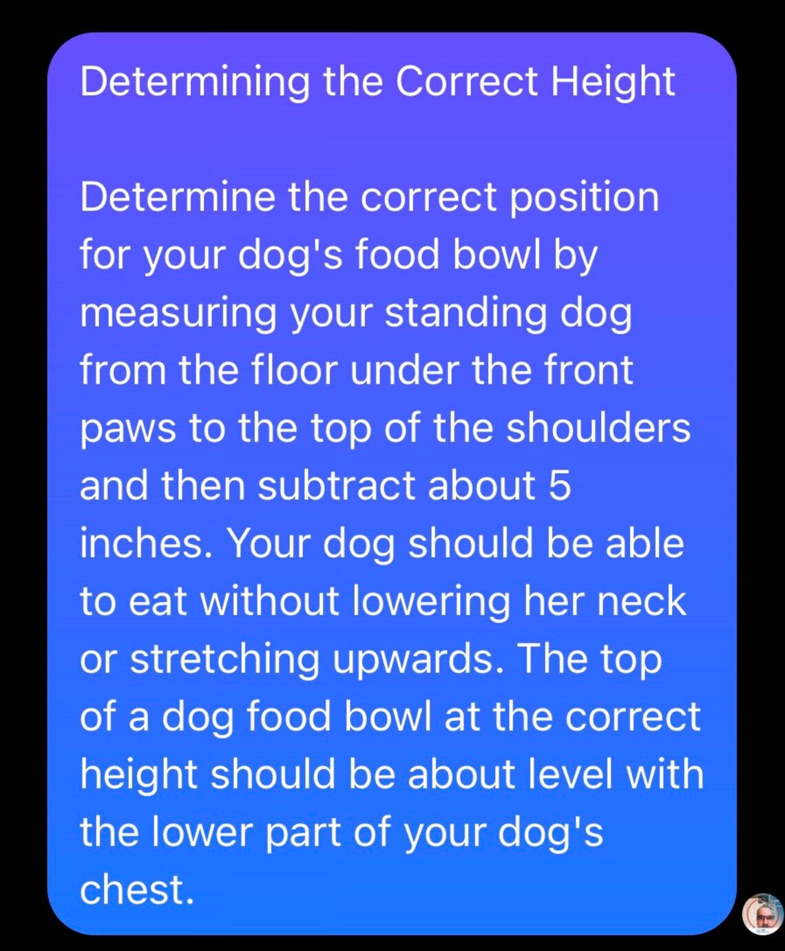 Extra Large Dog Bowl Stand 12 W X 24 L X 19 to 25 H Etsy