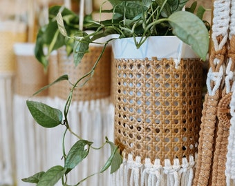 fully caned plant hanger