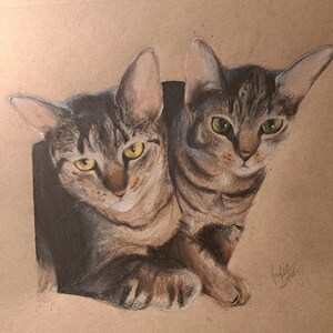 Custom personalized pet portrait pet drawing colored pencil