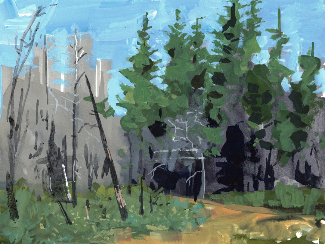 Original: Trees Saved in the 2024 CZU Complex Fire - Etsy