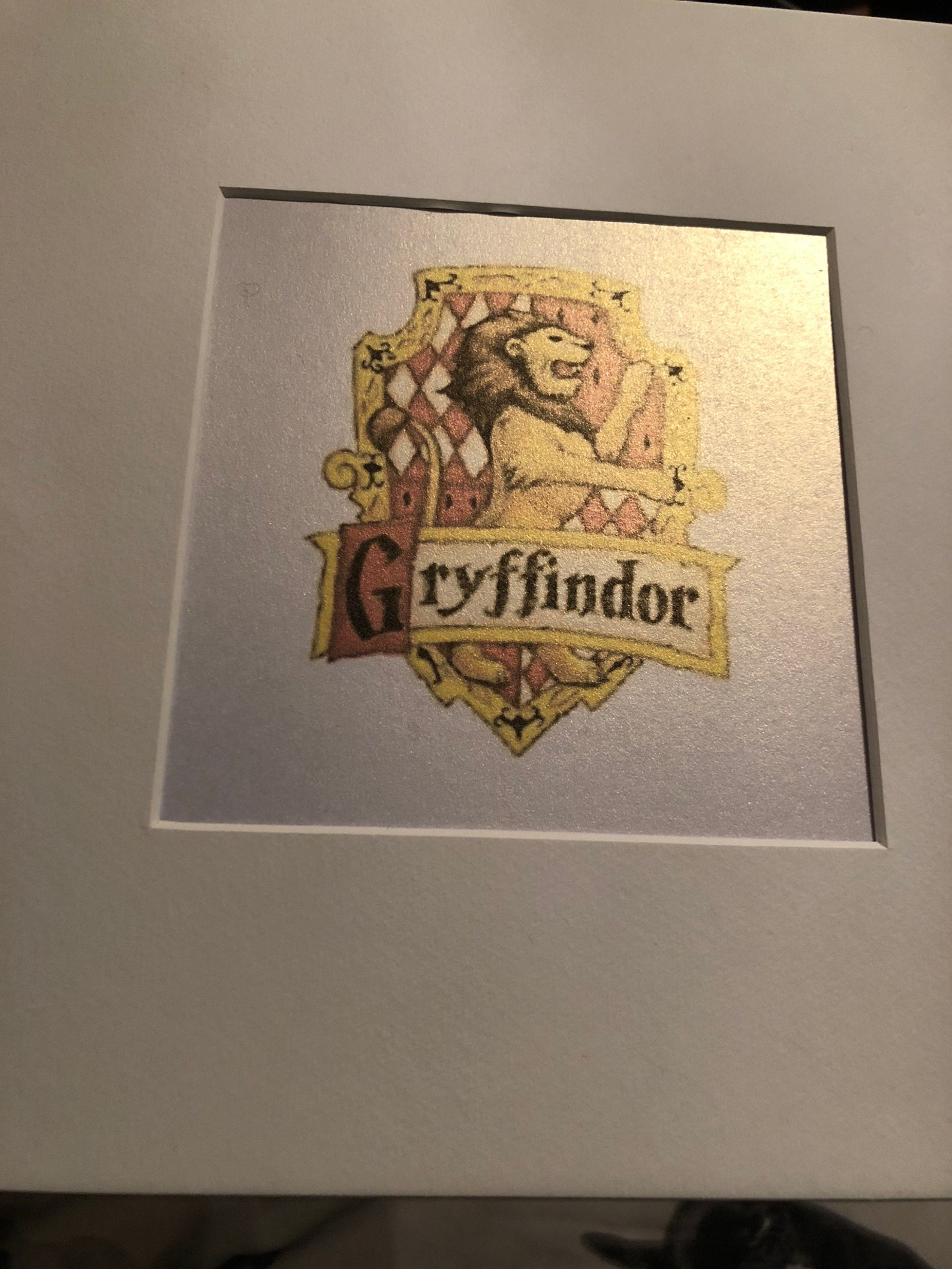 Harry Potter inspired box frame/ shadow box can be Etsy