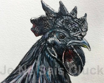 Ayam: Ayam Cemani Price Uk