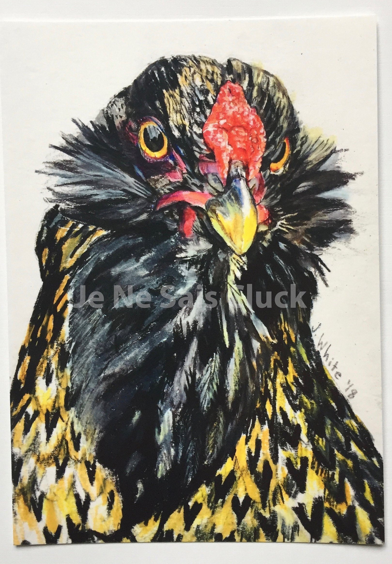 Easter Egger Chicken at Country Village - Etsy