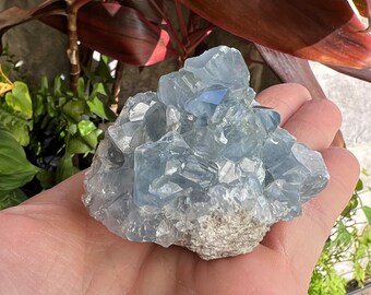 Natural Celestite Cluster, Deep Blue Crystal Celestite Geode, Large Raw Celestite Cluster, Rough Celestine Geode for Angelic Communication