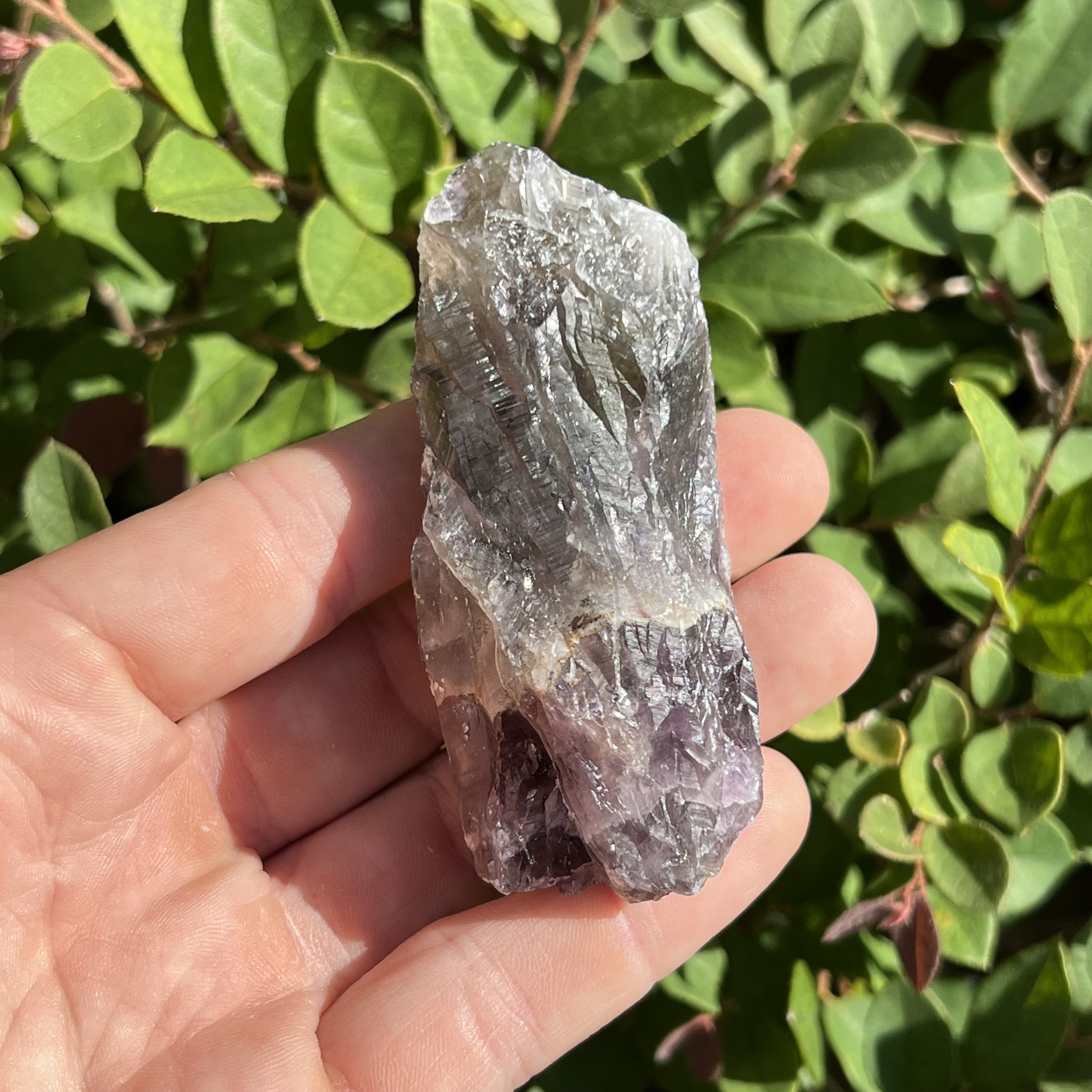 オーラライト23 クラウン オーラライト23 クラウン - メルカリ