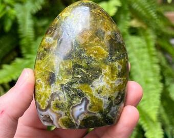 natural green opal crystal - polished green opal with cut base - gemstone decoration