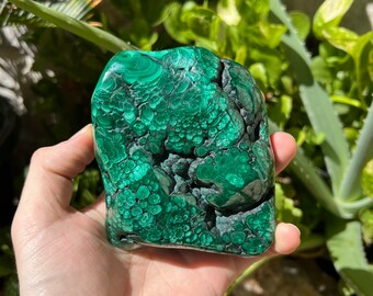 Malachite Palm Stone | Heart Chakra | Anxiety Relief | Money and Abundance crystal - malachite crystal palmstone - Polished