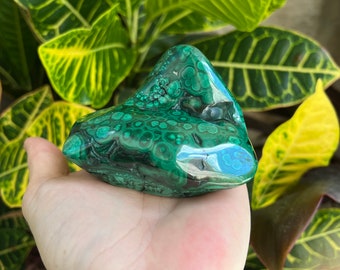 Malachite Palm Stone | Heart Chakra | Anxiety Relief | Money and Abundance crystal - Polished