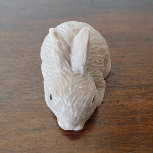 Little Bunny