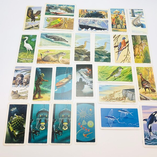 Red Rose Tea Cards Etsy