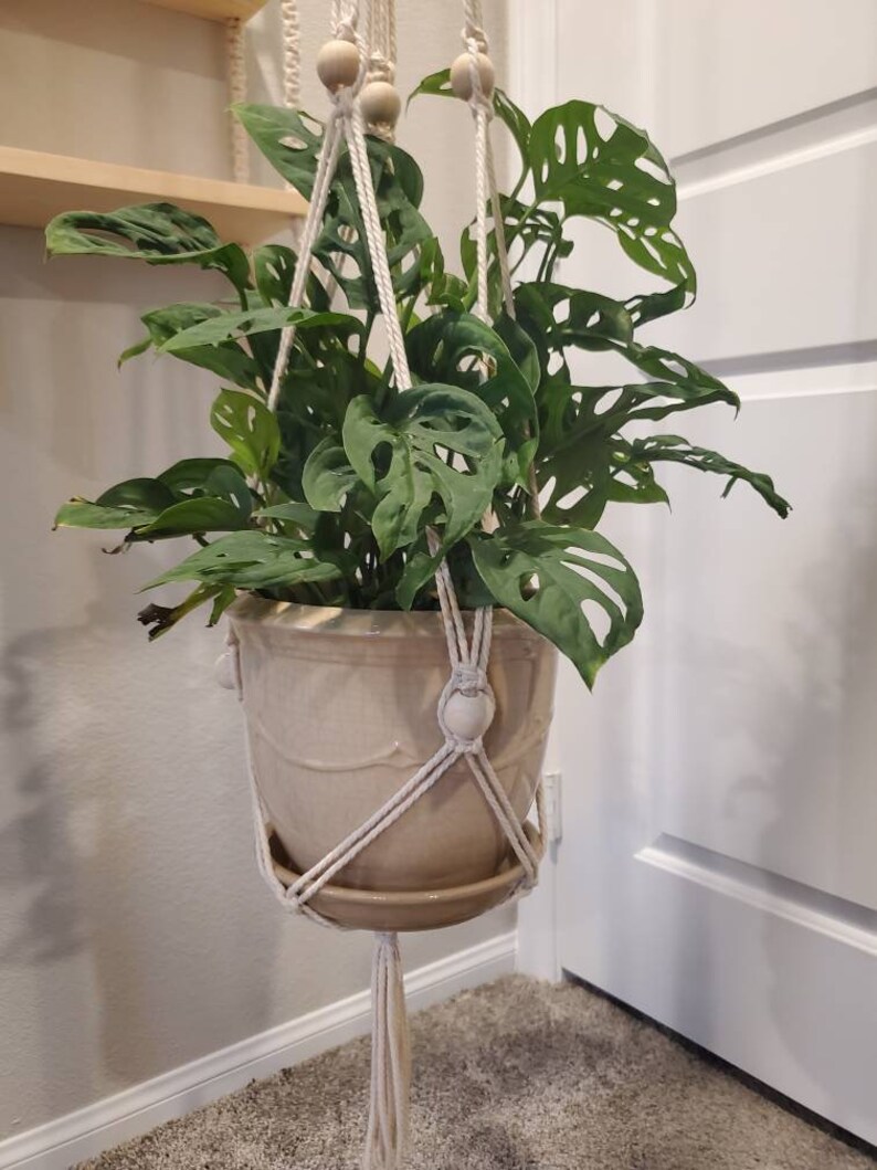 Handmade macrame plant hangers