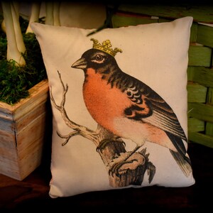 May include: A cream-colored pillow with a vintage illustration of a bird wearing a gold crown. The bird is perched on a branch with brown and green leaves.