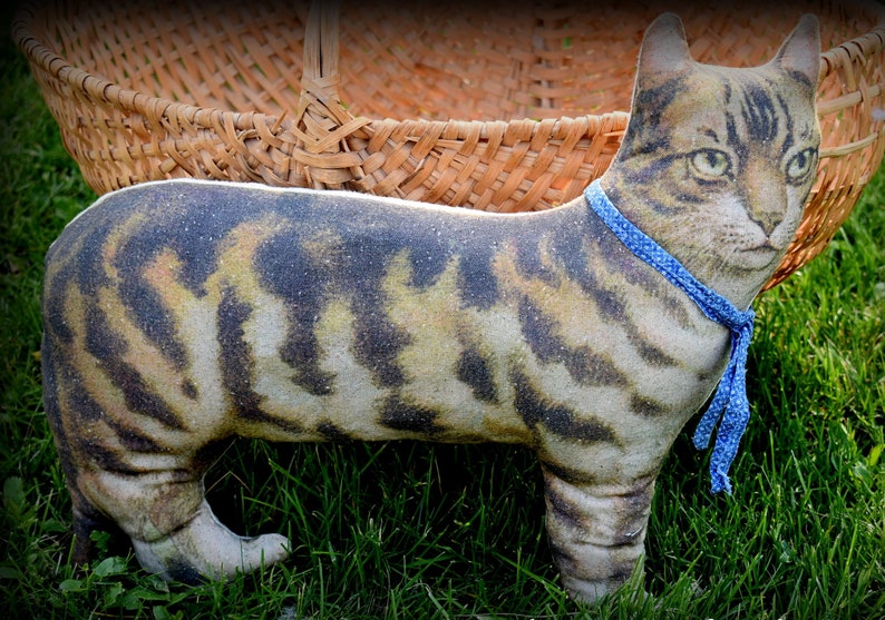 ThisCountryFarmhouse Tabby Cat Pillow
