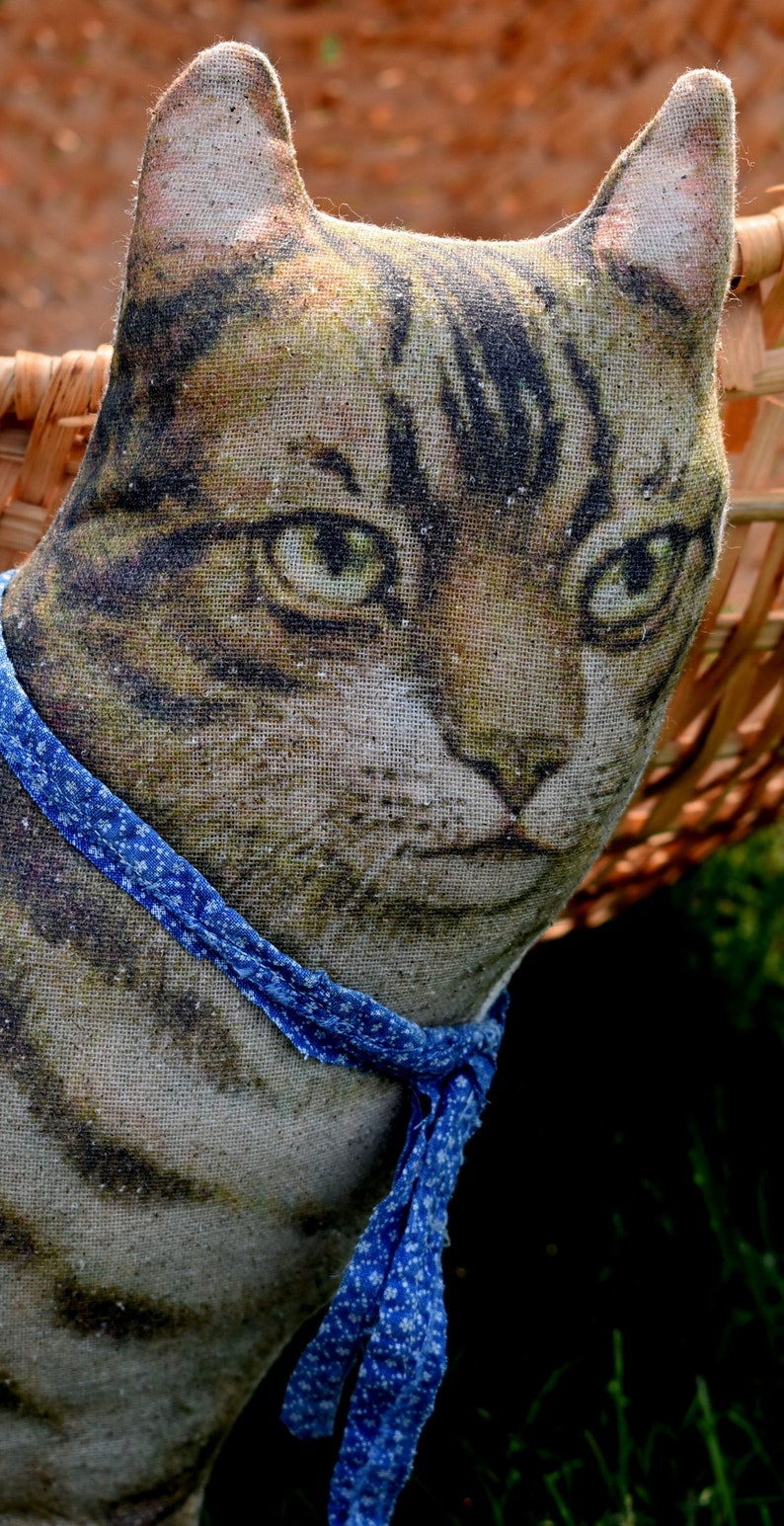 ThisCountryFarmhouse Tabby Cat Pillow - Thumbnail 2