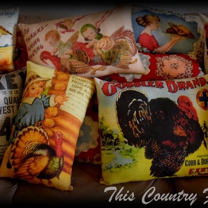 May include: A collection of decorative throw pillows featuring a Thanksgiving theme. The pillows are made of fabric and have various designs, including turkeys, gourds, and fall foliage. The pillows are arranged on a brown surface.