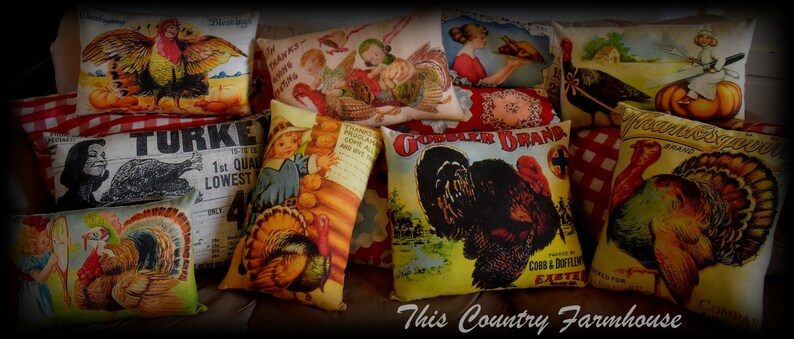 May include: A collection of decorative throw pillows featuring a Thanksgiving theme. The pillows are made of fabric and have various designs, including turkeys, gourds, and fall foliage. The pillows are arranged on a brown surface.