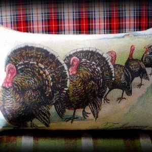 Thanksgiving antique vintage turkey trot line pillow