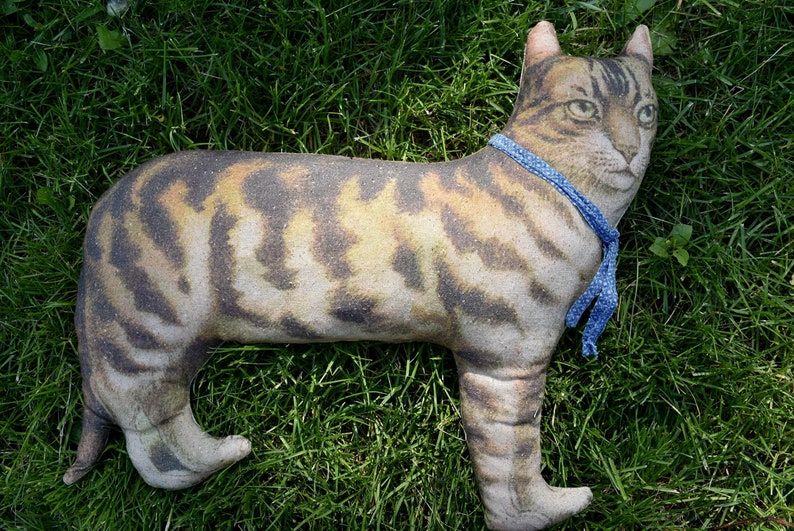 ThisCountryFarmhouse Tabby Cat Pillow - Thumbnail 3