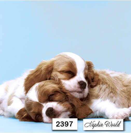 Spaniel Paper Napkin