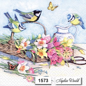 FREE SHIP - Two Paper Luncheon Decoupage Art Craft Napkins - (Design 1573)  BIRDS Flowers Gardening Scissors