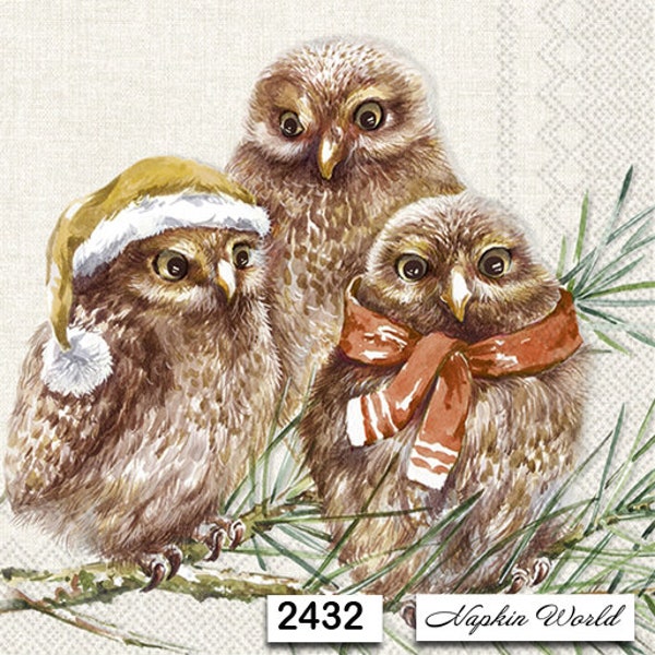 FREE SHIP - Two Paper Luncheon Decoupage Art Craft Napkins - (Design 2432) OWLS Winter Family Birds Scarf Hat