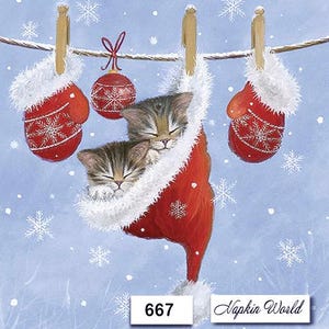 May include: A festive image features two kittens nestled in a red Christmas stocking, hanging on a clothesline with two red mittens and a decorative ball. The mittens and ball have snowflake designs. The background is a light blue with falling snowflakes.