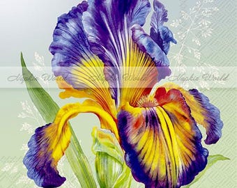 FREE SHIP - Two Paper Luncheon Decoupage Art Craft Napkins - (Design 2669) Vibrant Bearded IRIS Flower, Close-up, Purple & Gold