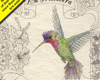 FREE SHIP - Two Paper Luncheon Decoupage Art Craft Napkins - (Design 522) HUMMINGBIRD Tropical Bird Hummer Spanish Script