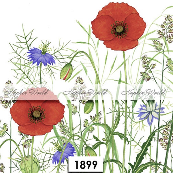 FREE SHIP - Two Paper Luncheon Decoupage Art Craft Napkins - (Design 1899)  POPPIES Poppy Flowers Meadow Wildflowers