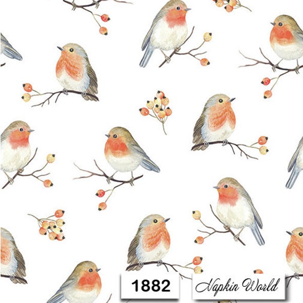 FREE SHIP - Two Paper Luncheon Decoupage Art Craft Napkins - (Design 1882) ROBIN Birds