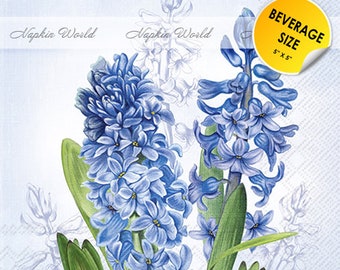 FREE SHIP - Two Paper ***BEVERAGE Size*** Decoupage Art Craft Napkins - (Design 5396)  Hyacinth Flower Perennial Blue Spring