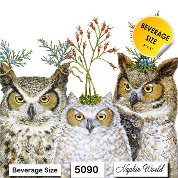 FREE SHIP - Two Paper ***BEVERAGE Size*** Decoupage Art Craft Napkins - (Design 5090) Three Owls Headdresses Horned Humorous Birds of Prey