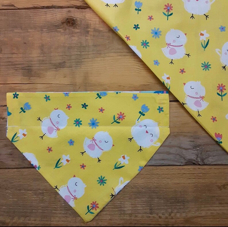Spring Chick Over-the-Collar Only Dog Cat Dual-Sided Bandana