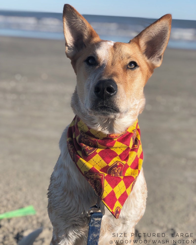 gryffindor cat collar