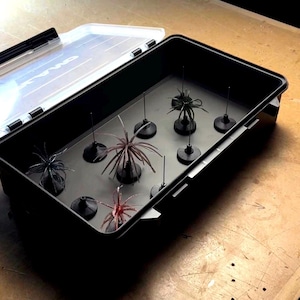 May include: A black rectangular storage case with a clear hinged lid containing a grey insert. Inside, several fishing lures with black circular bases and thin, radiating rubbery filaments in black, red, and brown colors are arranged in rows.
