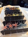 Coike Style Urchin Bait Holder | 3700 Tackle Box Organizer Insert | 3D Printed Storage for Wire-Rigged Baits | Protect Tentacles